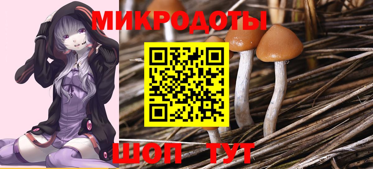 Псилоцибиновые грибы мицелий  Галлюциногенные грибы Magic Shrooms  Вход с VPN  Симферополь 