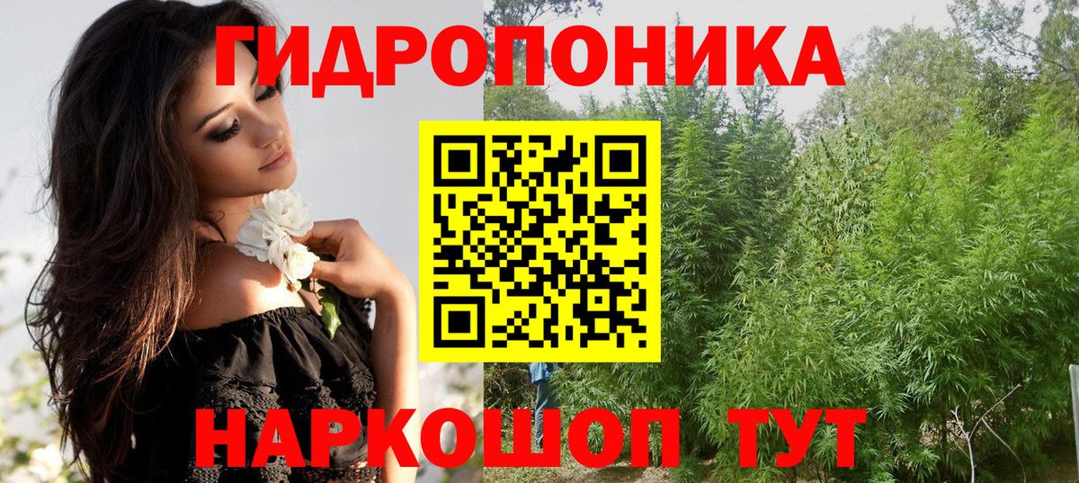 Бошки Шишки планчик Симферополь